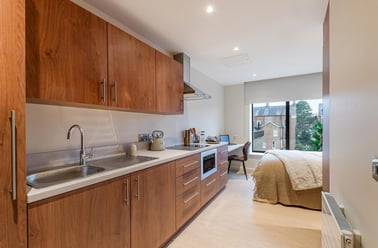 Elmwood Avenue, Stranmillis, Belfast - Image 3